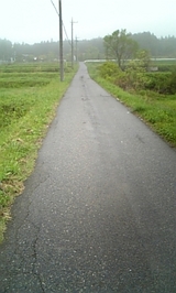 6f3453c0.jpg