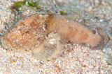 2DSC_0097