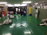 c0ff8207.jpg