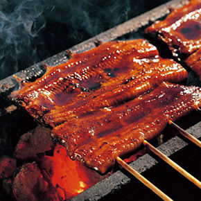 unagi_ph01