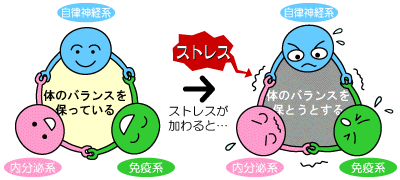 i_3system