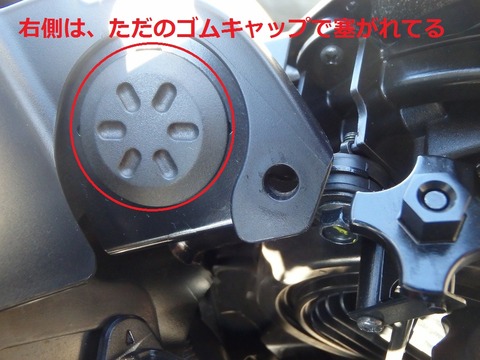 20160225P2070190 - コピー