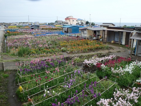 20160324P3200048