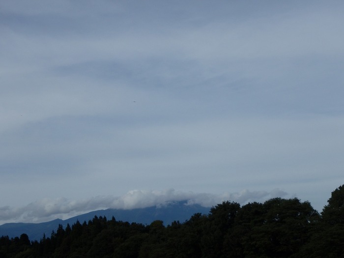 20161101P9240367