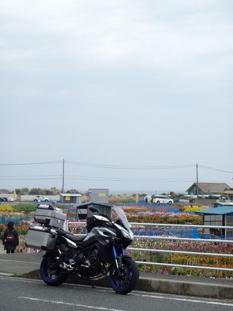 20160324P3200051