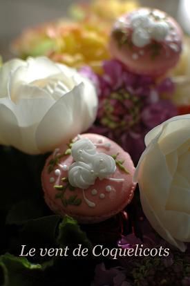 rose blanche