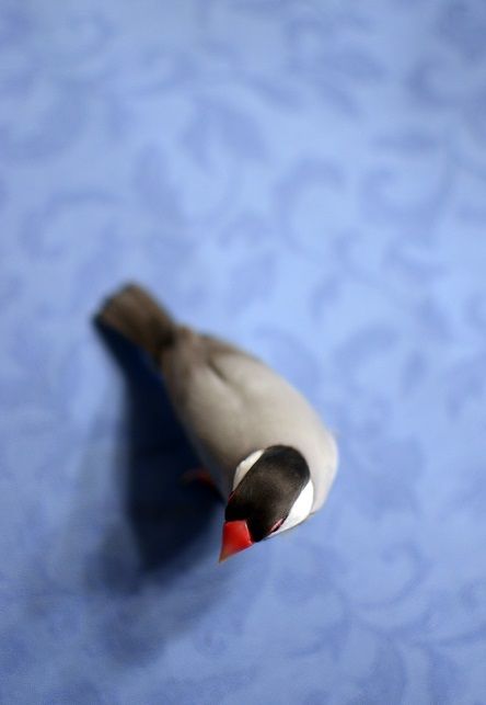 48DSC_3959ab