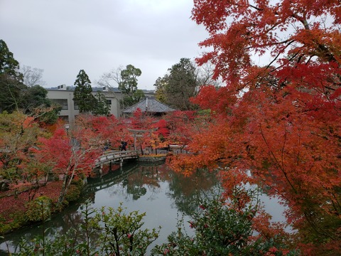 20181203_105653