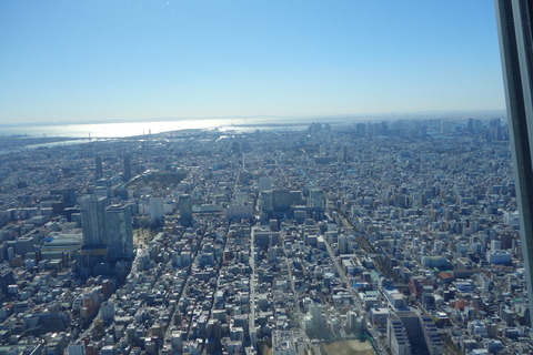 DSC08572