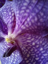 5d786c40.jpg