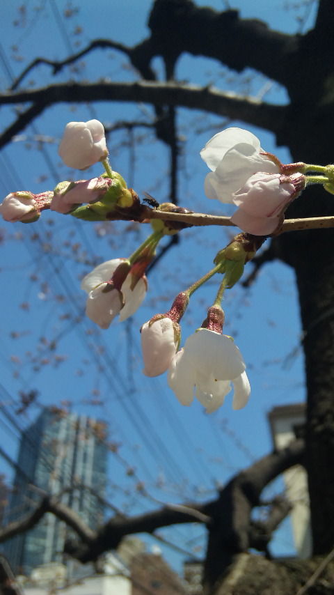 6c0c95a9.jpg