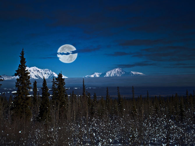 moon (8)