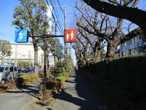 169東八道路1