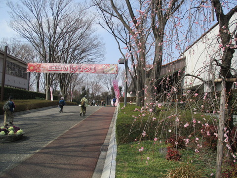 123府中市郷土の森博物館3