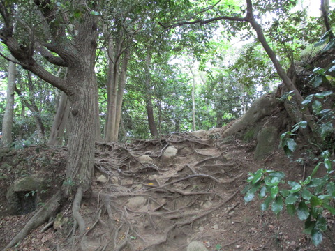 19広場1