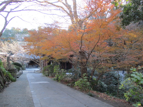 124紅葉
