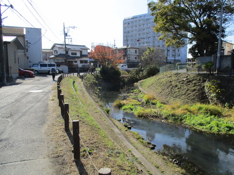 117坂川遊歩道1