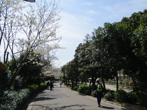 103遊歩道1