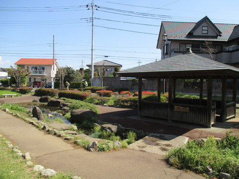 10日酸公園3