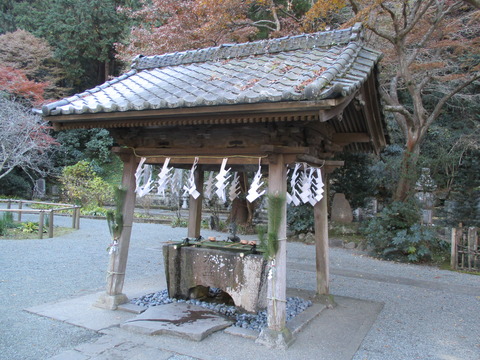 131水屋