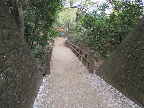 207本祇園曲輪跡へ1