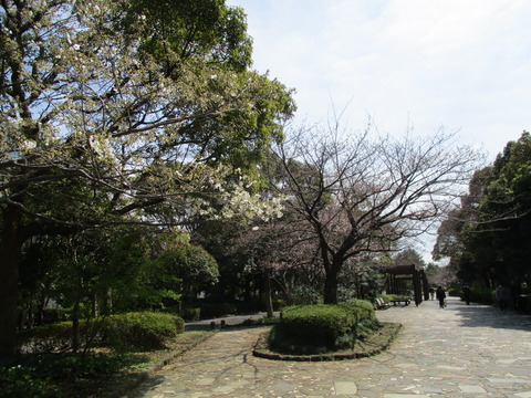 92清新町緑道3