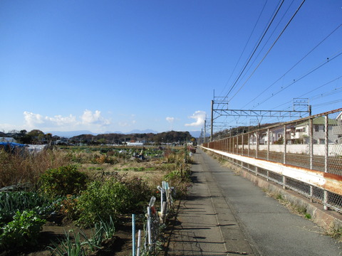 39側道1