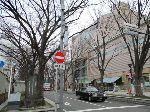 38馬場大門のケヤキ並木9