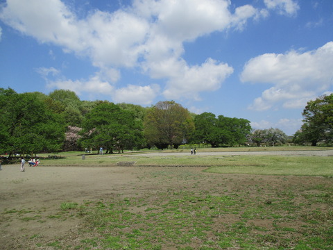 57国分尼寺跡2