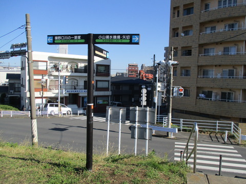 38後ろ