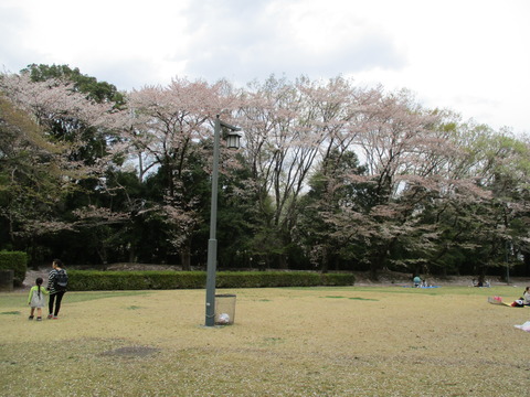 200-1塚田曲輪跡1-1