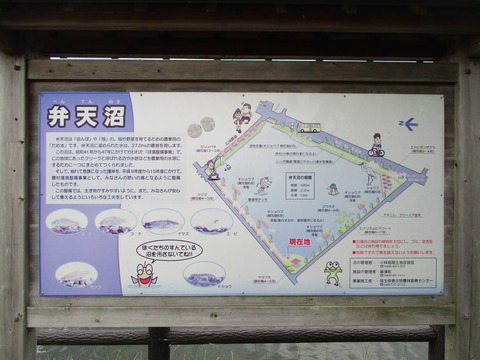 135弁天沼3