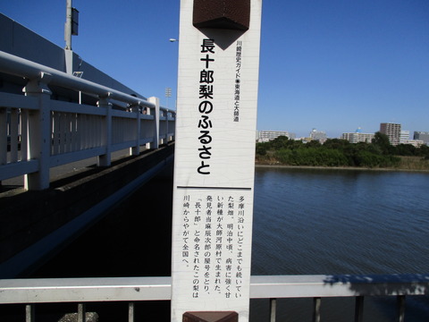 38六郷の渡し跡3
