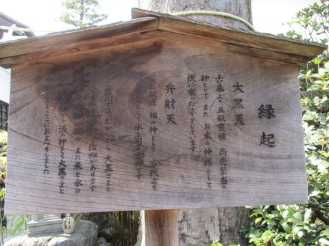 194夫婦欅3