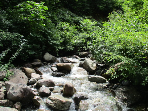 178新道マチガ沢2