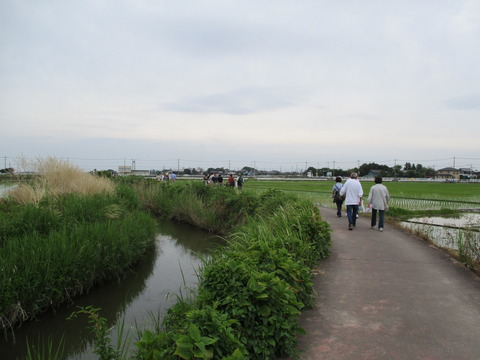 100水路沿い3