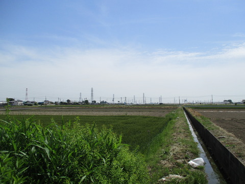 71田園風景2