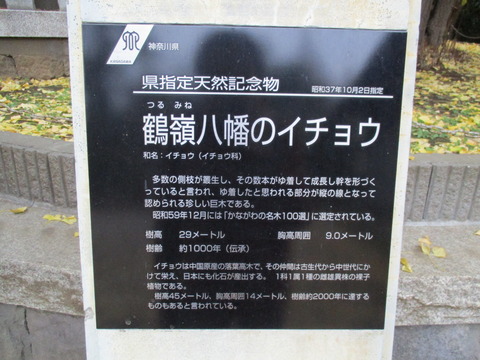 34鶴嶺八幡宮14