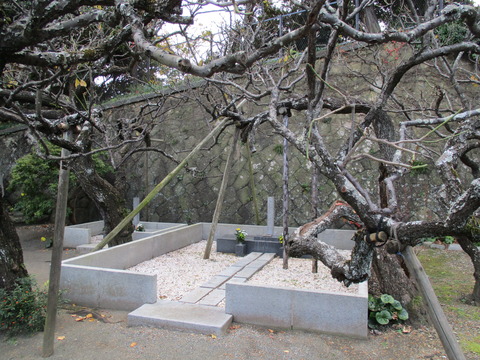 183地福寺8