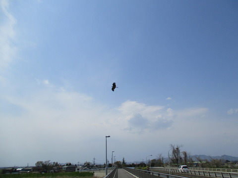 135石ノ上橋4