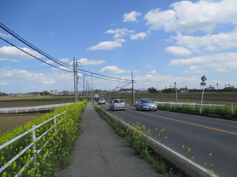 177遠くに筑波山