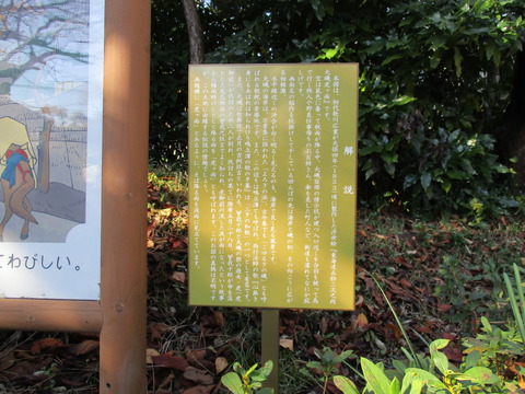 20大磯虎ヶ雨2
