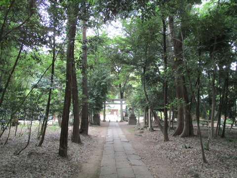 190参道4