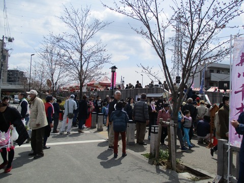 45新川千本桜18