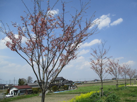 145萩島地域3