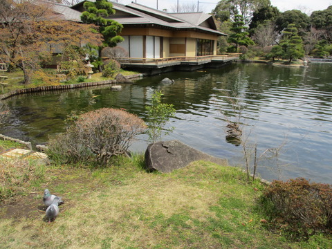 60平成庭園4