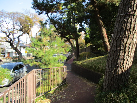 136改めて旧東海道松並木3