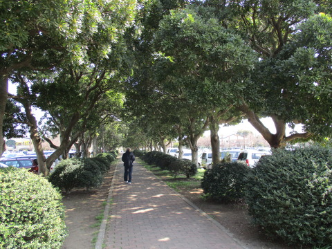 75大宮第二公園3