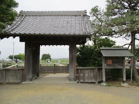 102菖蒲城址あやめ園1