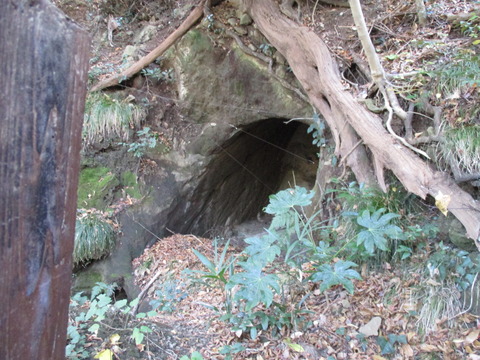 86横穴古墳群4